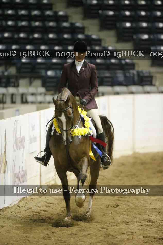 Proof 15BUCK_00951
