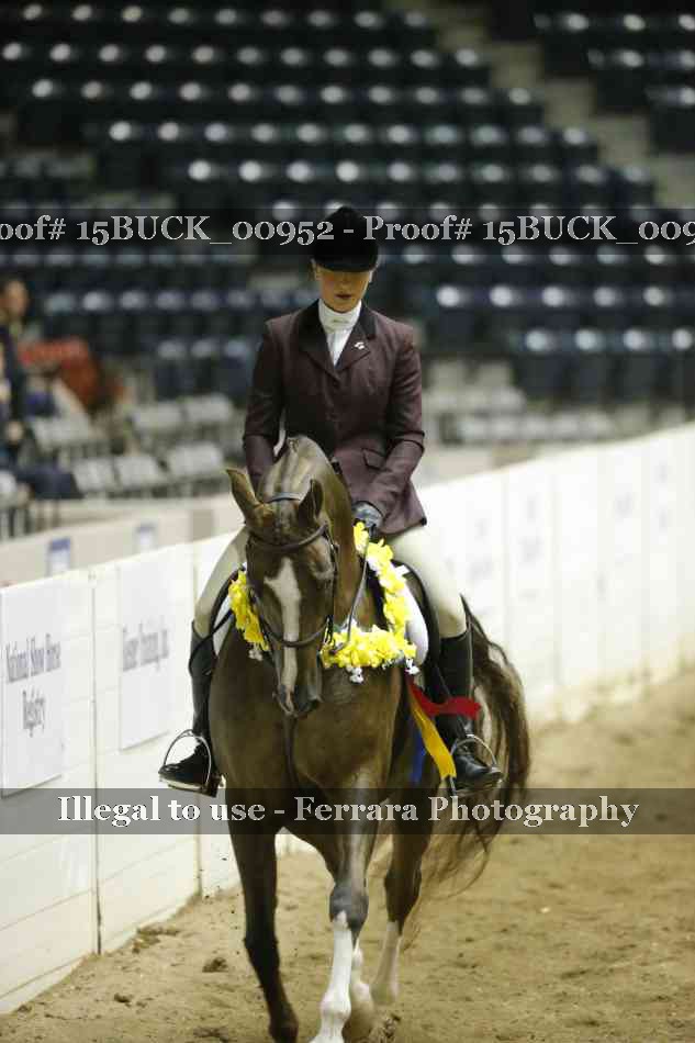 Proof 15BUCK_00952