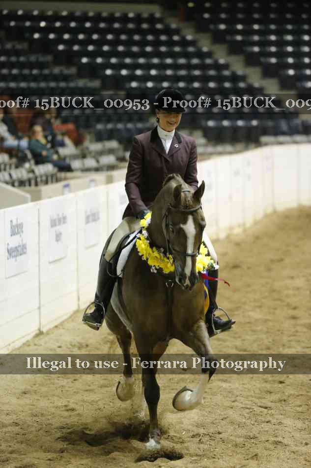 Proof 15BUCK_00953