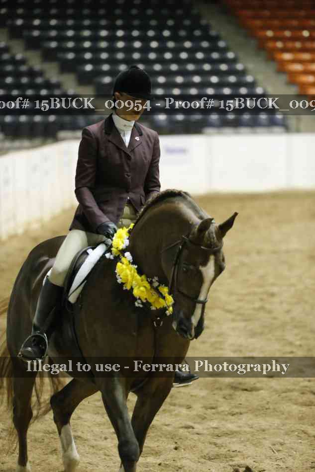 Proof 15BUCK_00954