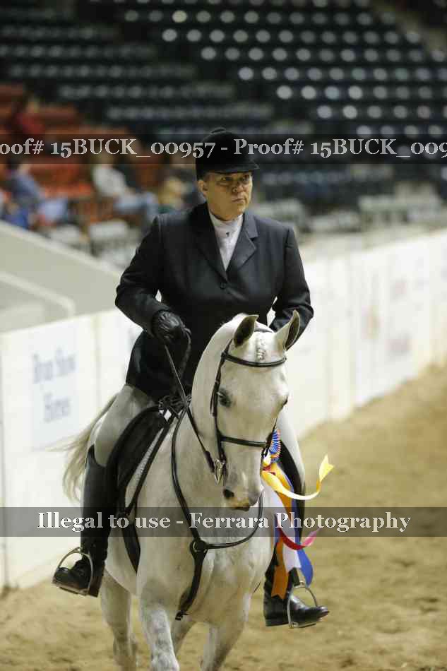 Proof 15BUCK_00957