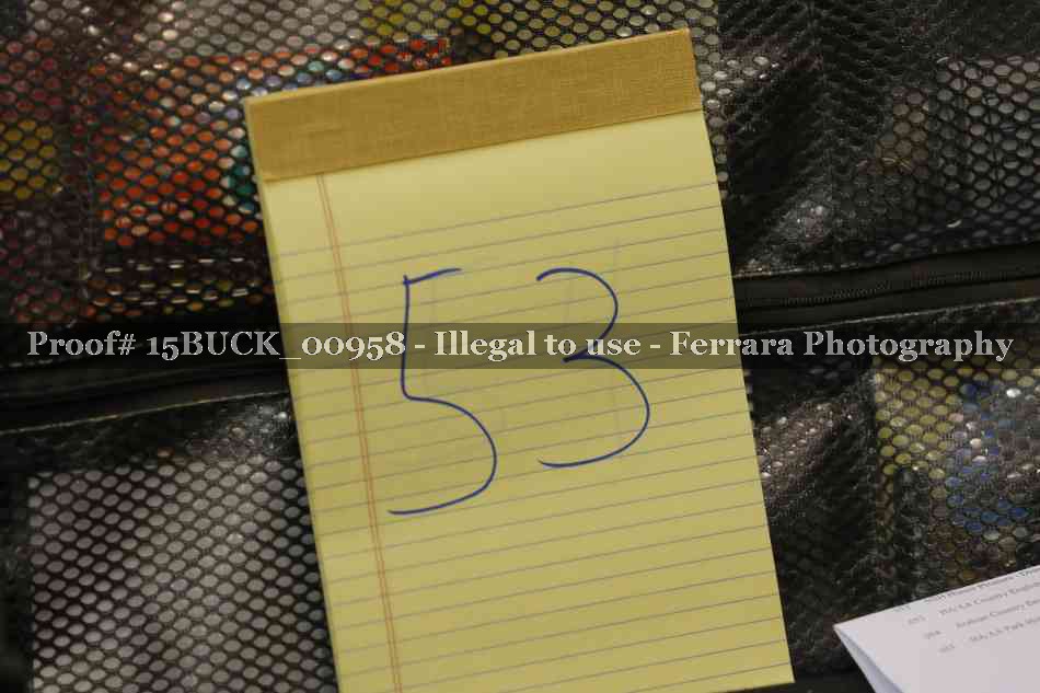 Proof 15BUCK_00958