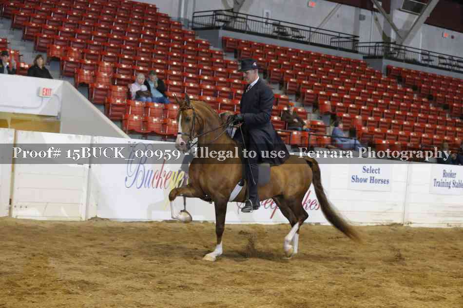 Proof 15BUCK_00959