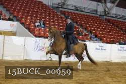 15BUCK_00959 proof