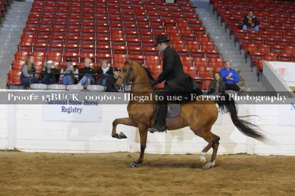 Proof 15BUCK_00960