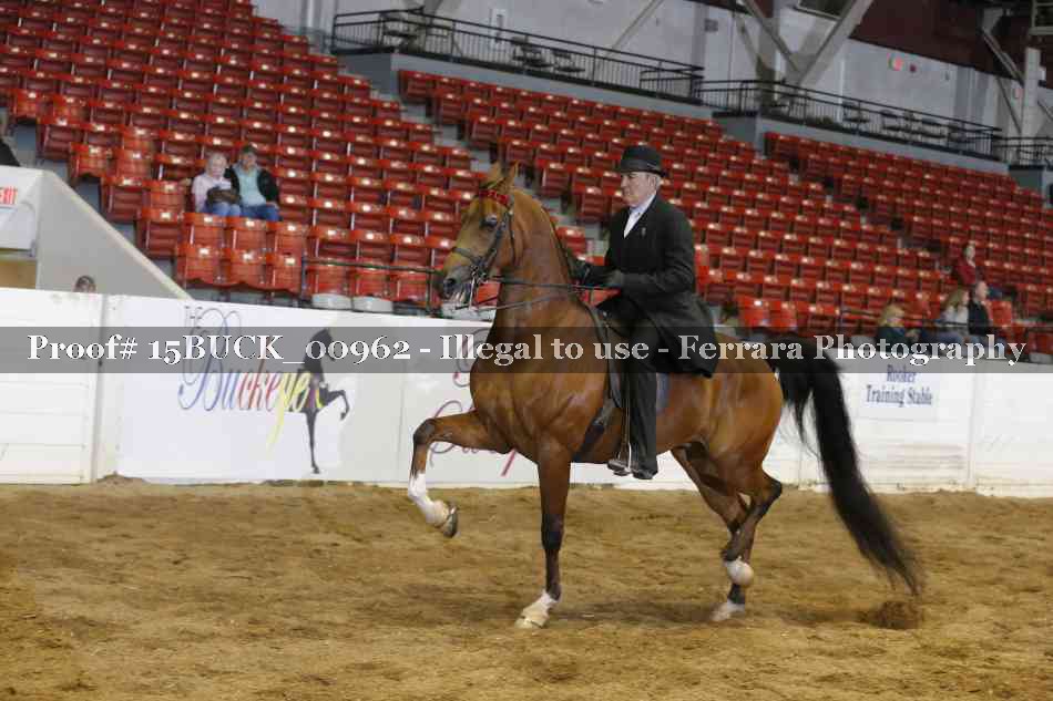 Proof 15BUCK_00962