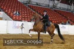15BUCK_00962 proof