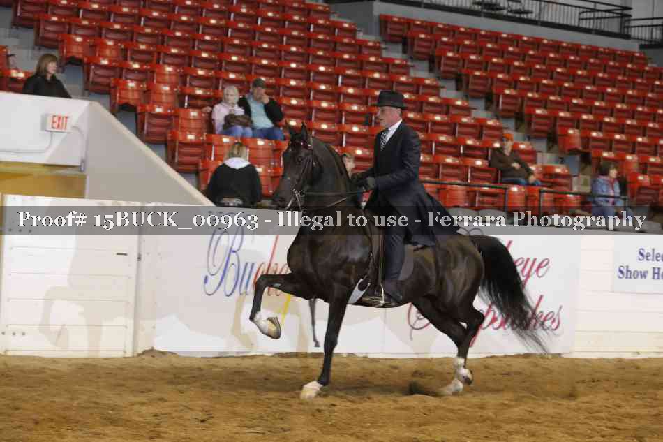 Proof 15BUCK_00963