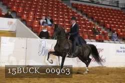 15BUCK_00963 proof