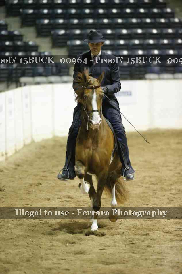 Proof 15BUCK_00964