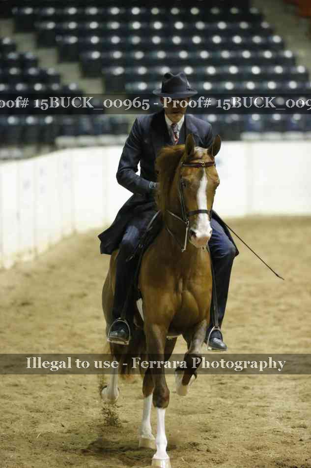 Proof 15BUCK_00965
