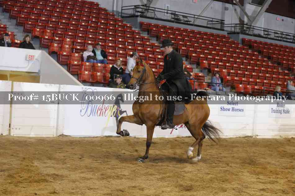 Proof 15BUCK_00966