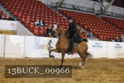 15BUCK_00966 proof