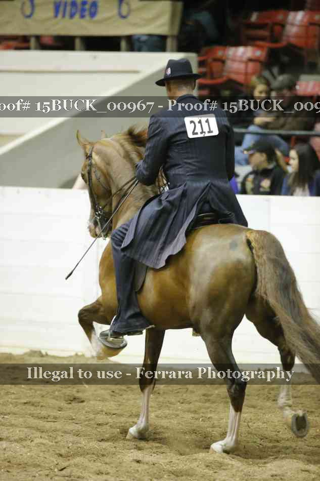 Proof 15BUCK_00967