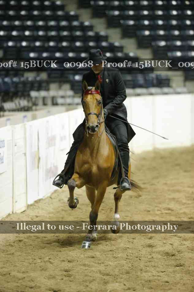 Proof 15BUCK_00968