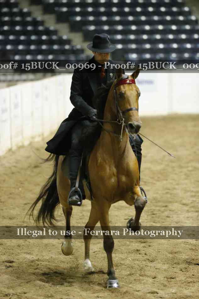 Proof 15BUCK_00969