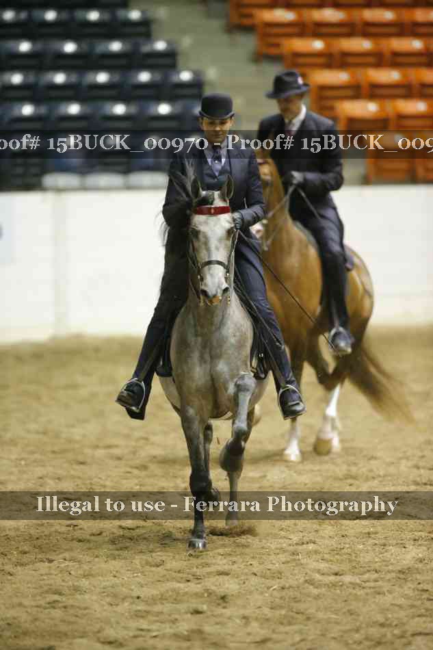 Proof 15BUCK_00970