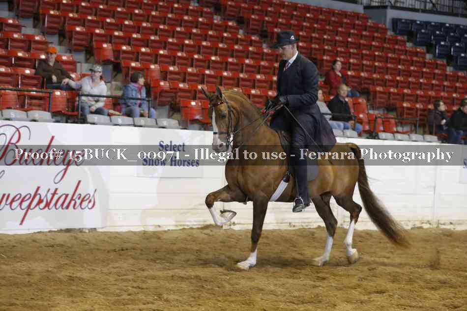 Proof 15BUCK_00971