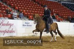 15BUCK_00971 proof