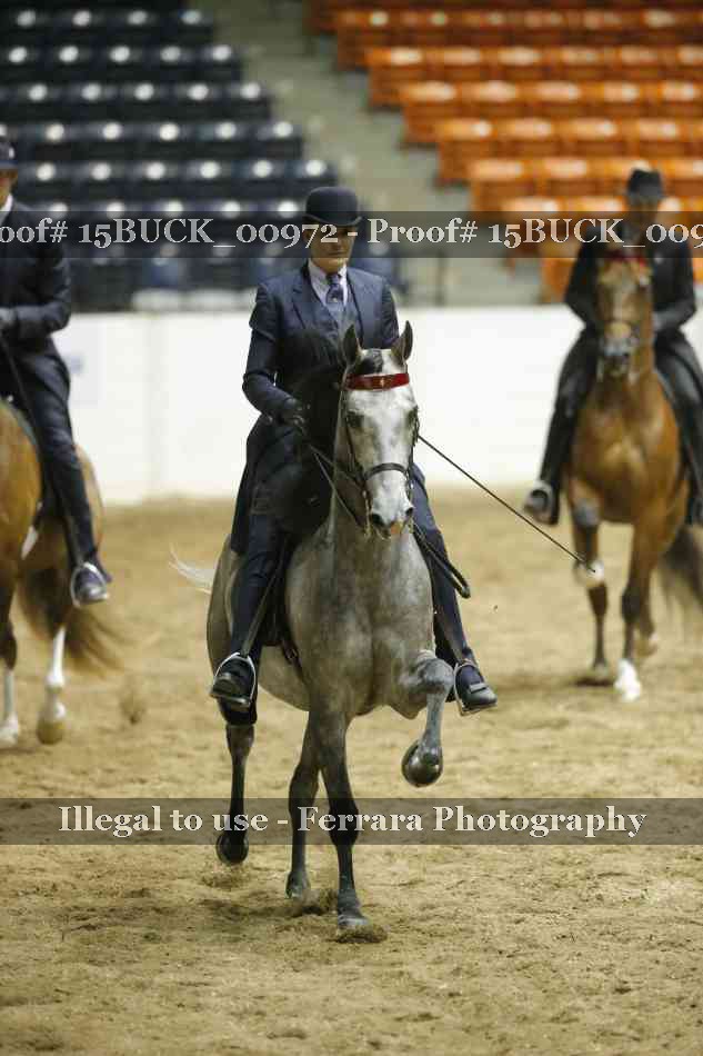 Proof 15BUCK_00972