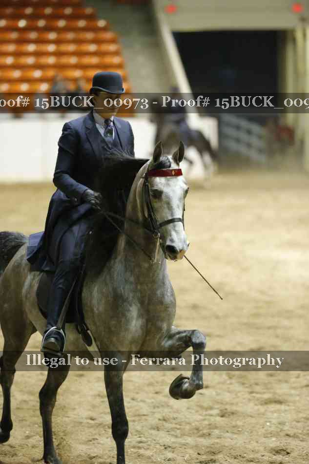 Proof 15BUCK_00973