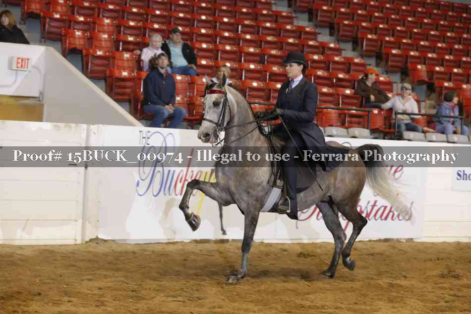 Proof 15BUCK_00974