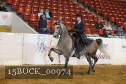 15BUCK_00974 proof
