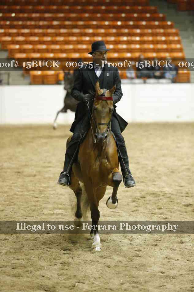 Proof 15BUCK_00975