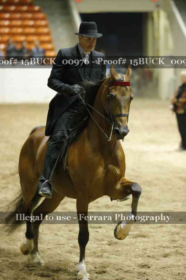 Proof 15BUCK_00976