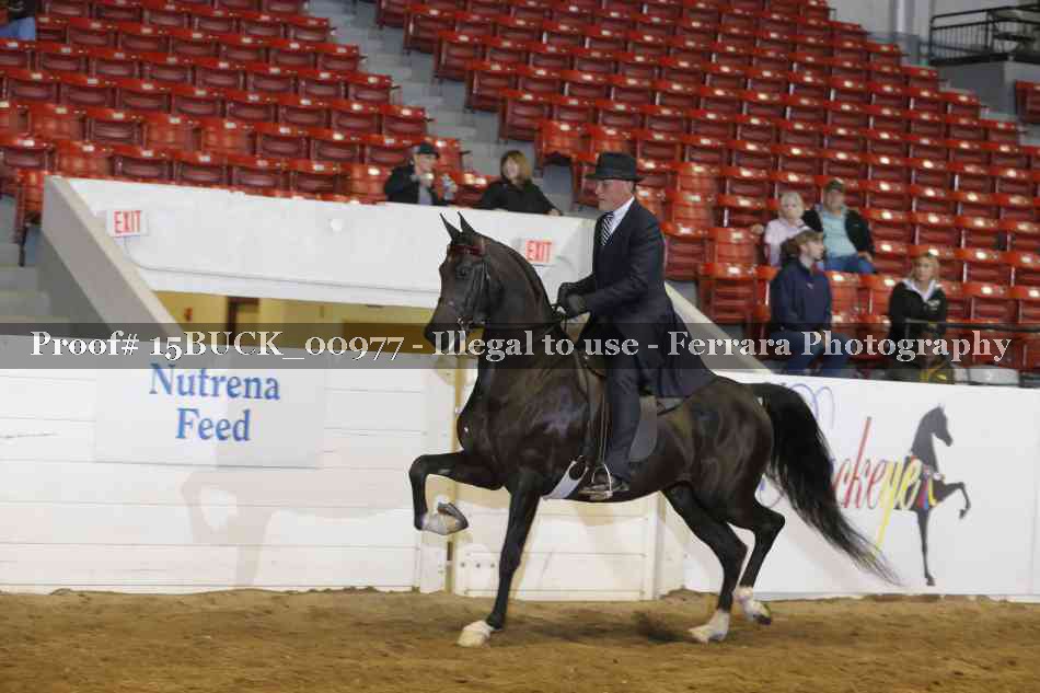 Proof 15BUCK_00977