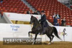 15BUCK_00977 proof