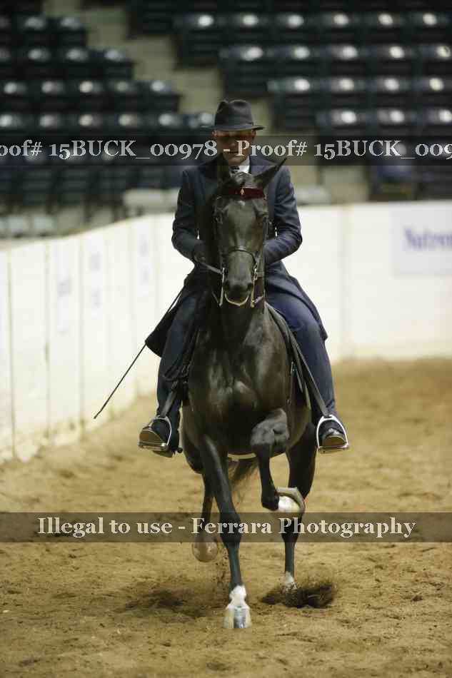 Proof 15BUCK_00978