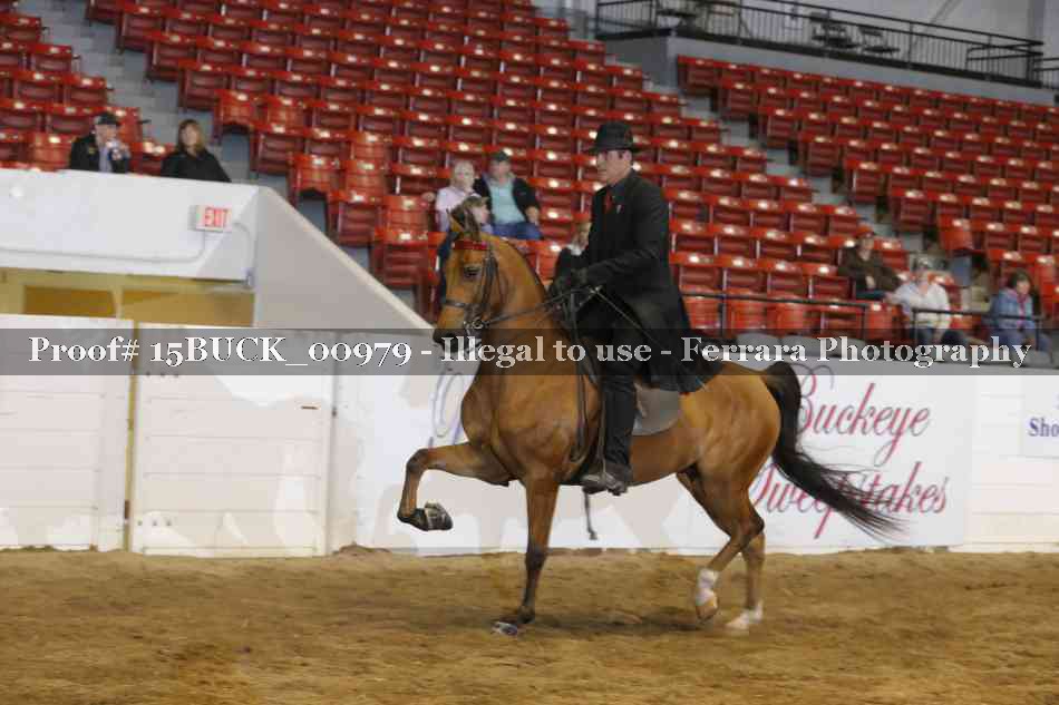 Proof 15BUCK_00979