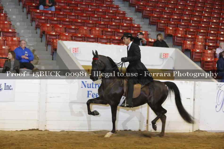 Proof 15BUCK_00981