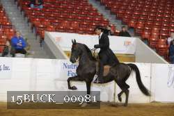 15BUCK_00981 proof