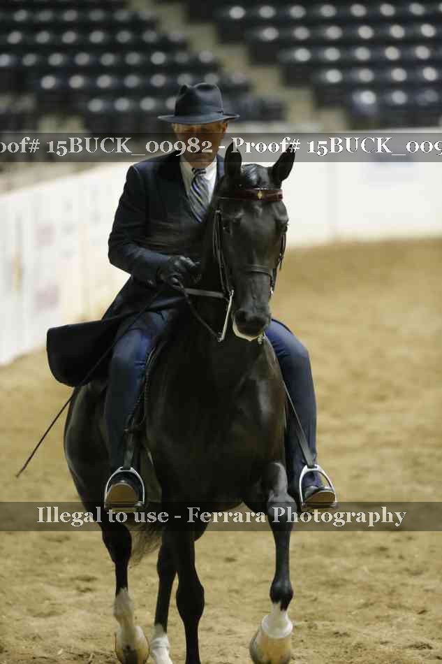 Proof 15BUCK_00982