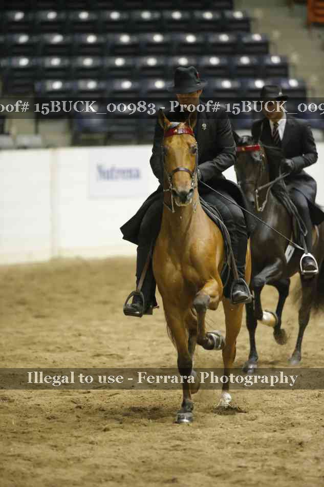 Proof 15BUCK_00983