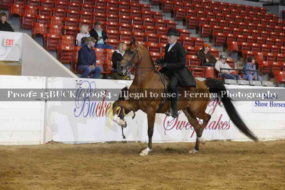 Proof 15BUCK_00984