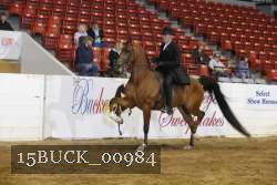 15BUCK_00984 proof