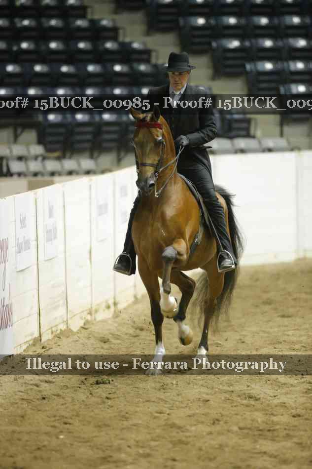 Proof 15BUCK_00985