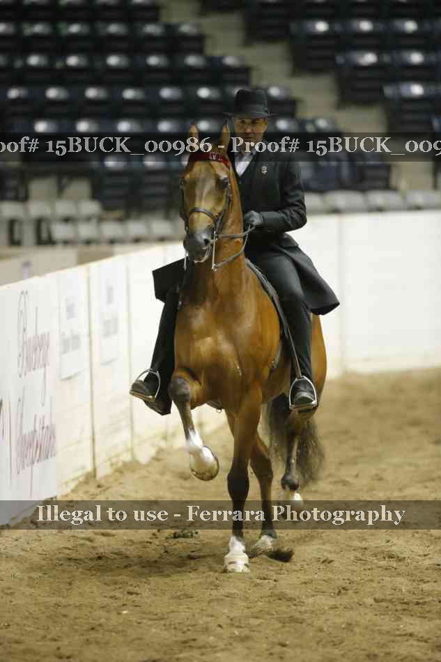 Proof 15BUCK_00986
