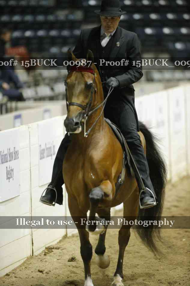 Proof 15BUCK_00987