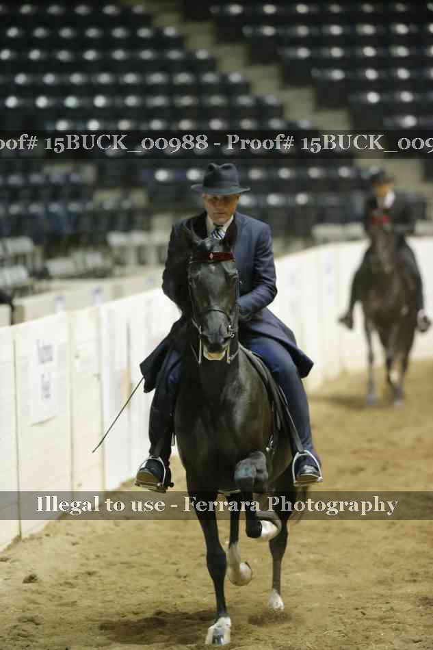 Proof 15BUCK_00988