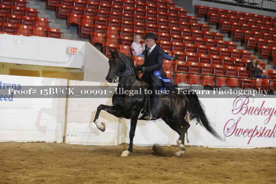 Proof 15BUCK_00991