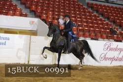 15BUCK_00991 proof