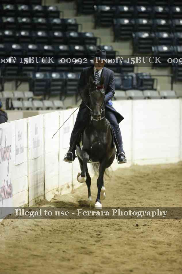 Proof 15BUCK_00992