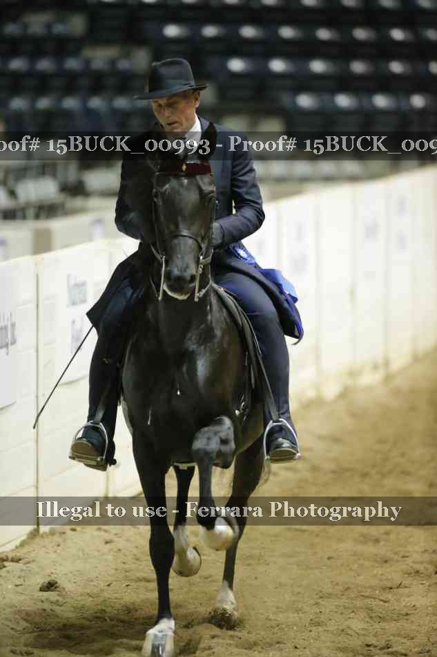 Proof 15BUCK_00993