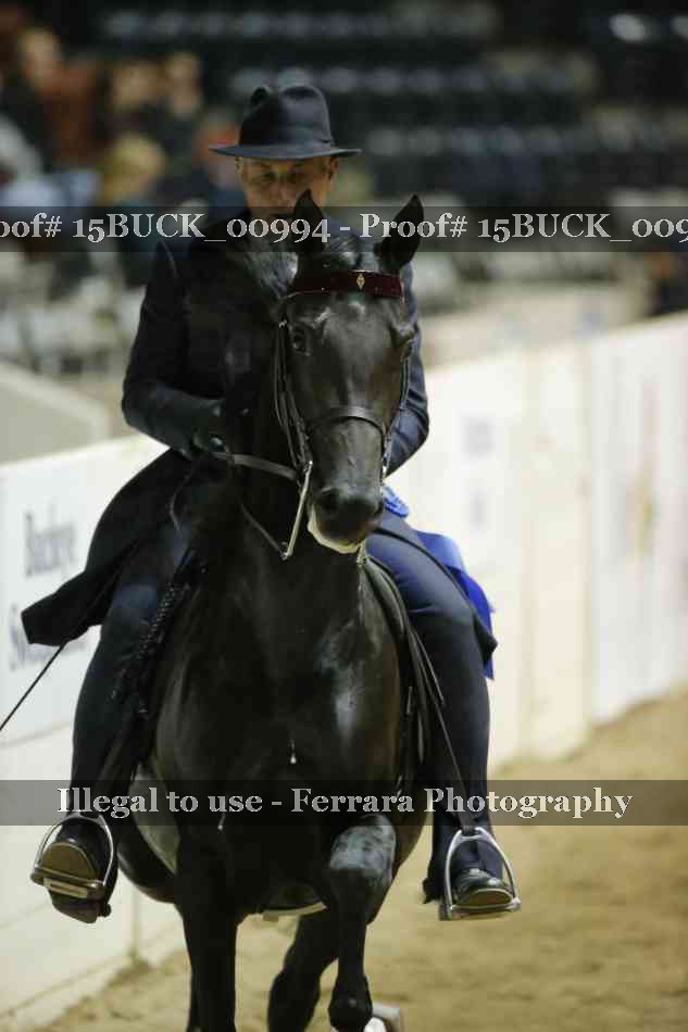 Proof 15BUCK_00994