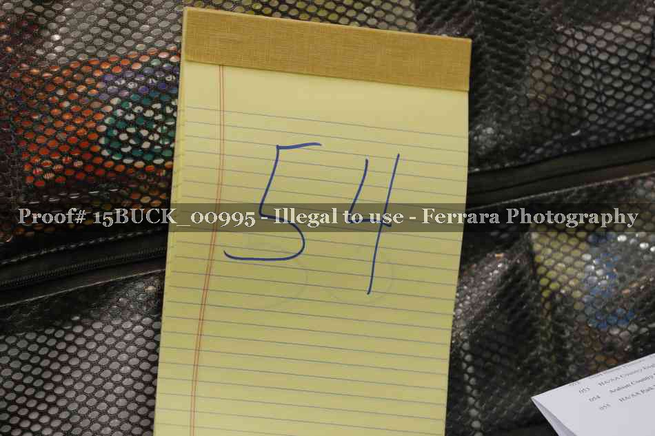 Proof 15BUCK_00995