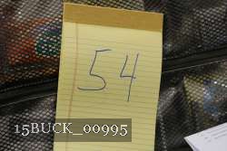 15BUCK_00995 proof